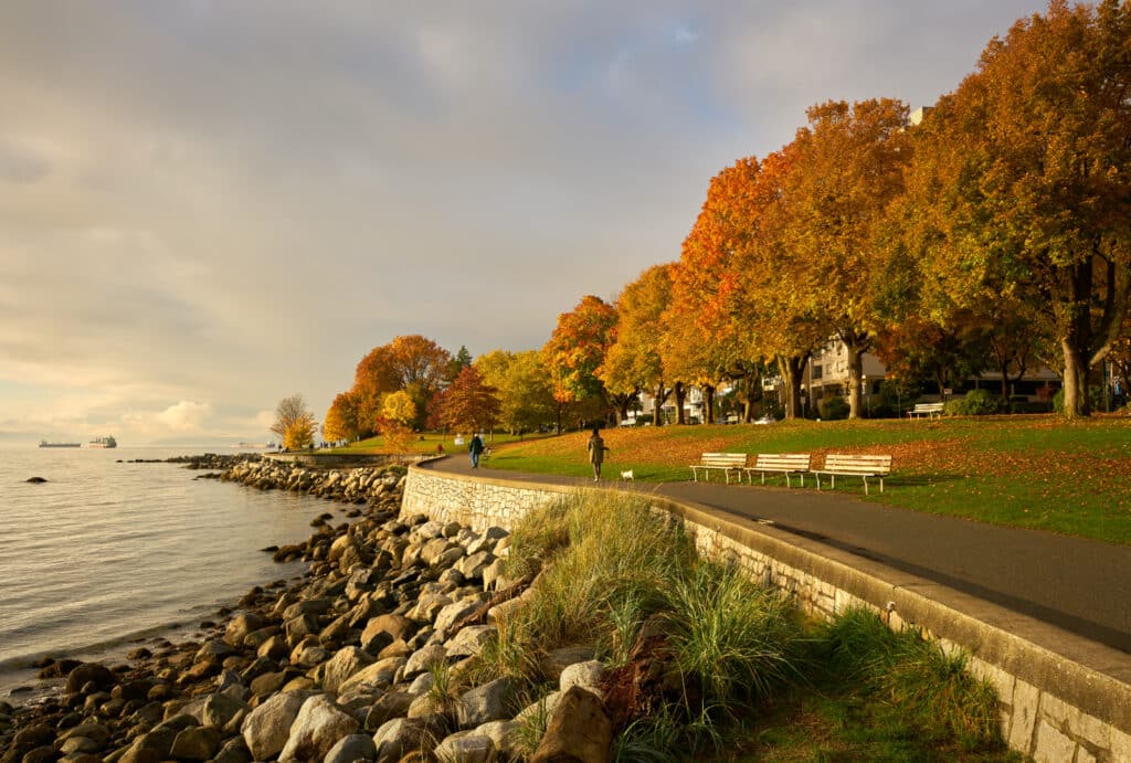 Stanley Park Seawall Path Autumn. Autumn Leaves Line The Stanley